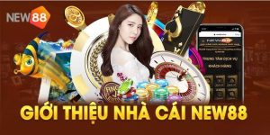 Giới thiệu tổng quan nhà cái NEW88